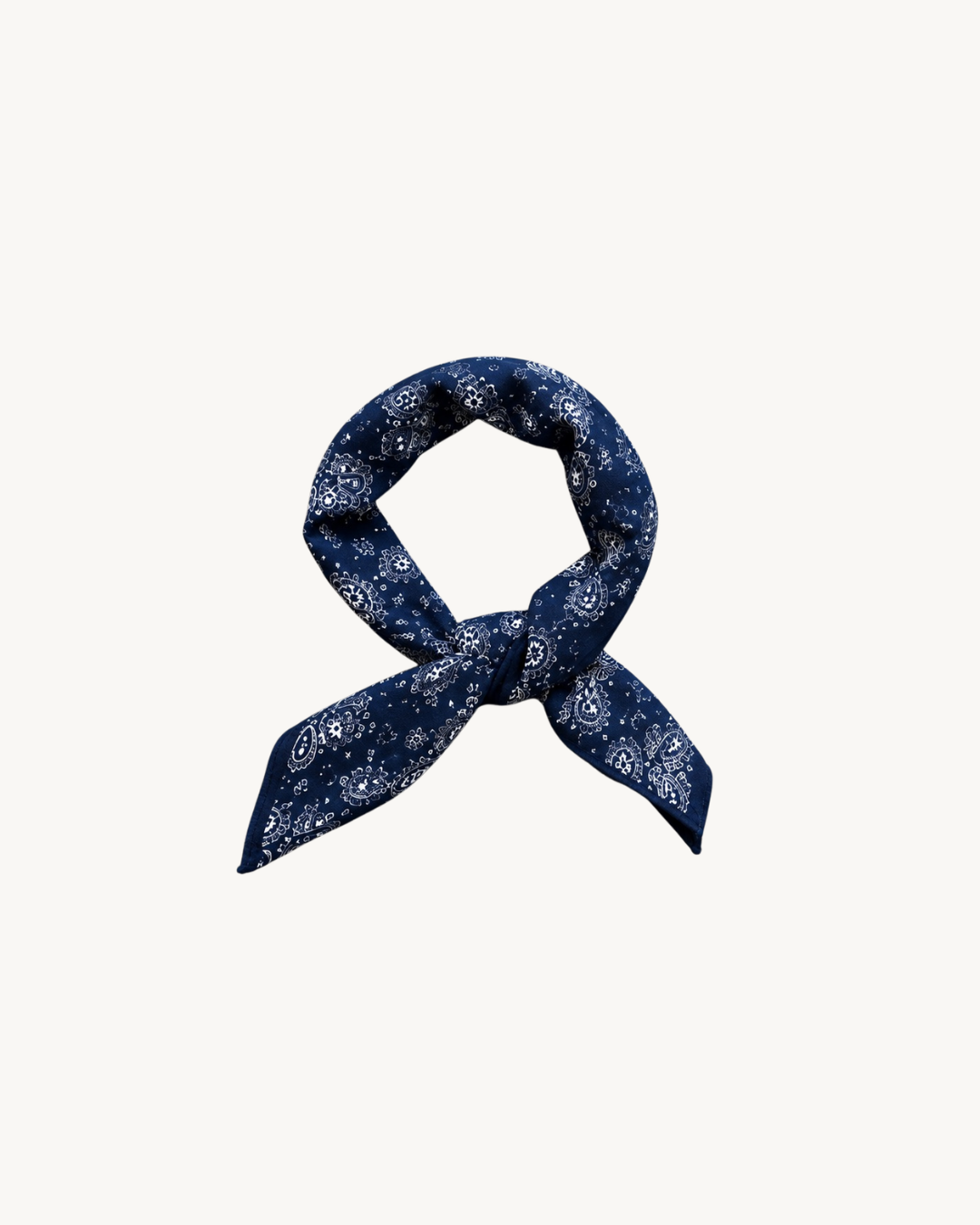 Paisley Bandana Navy