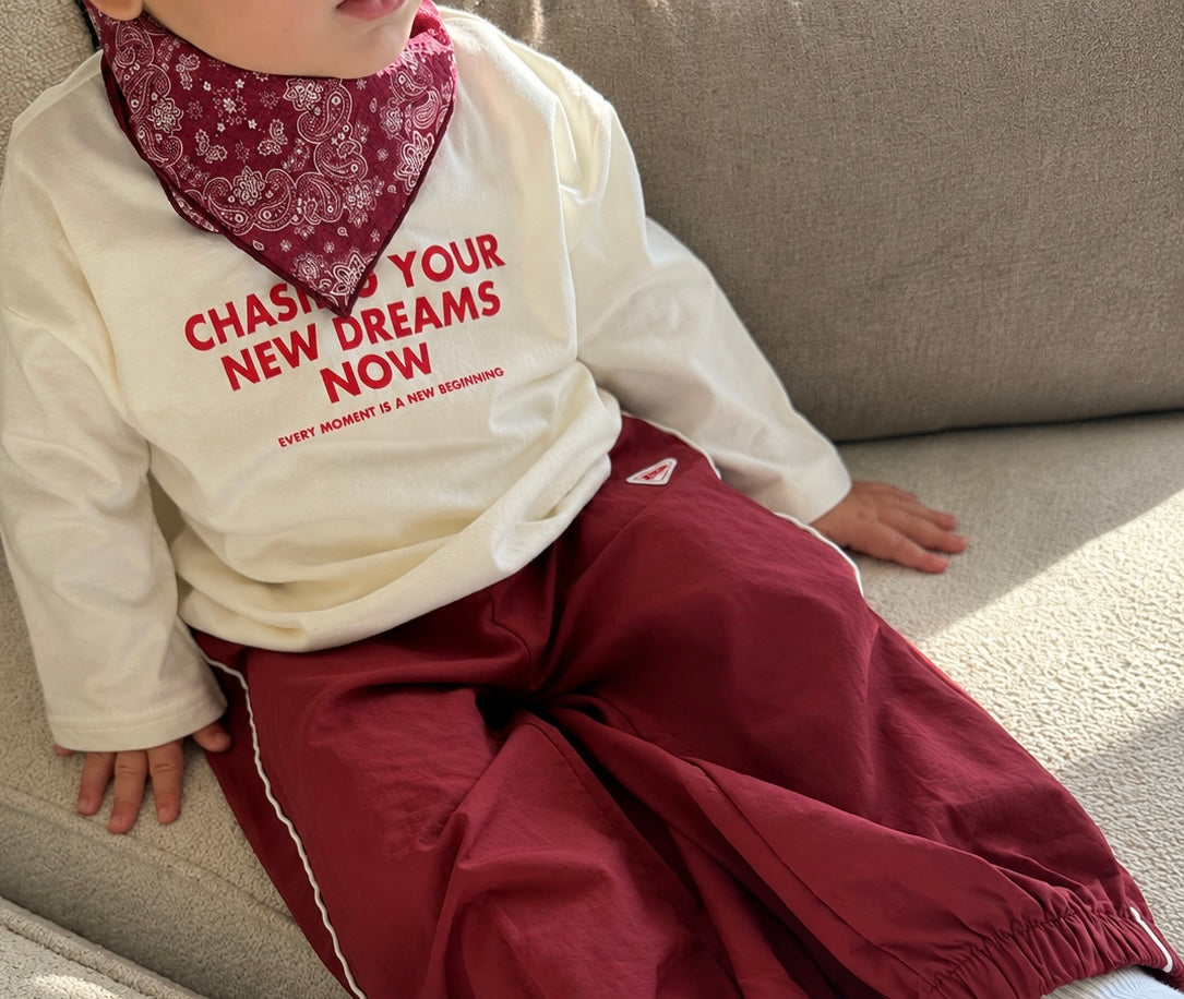 Paisley Bandana Burgundy